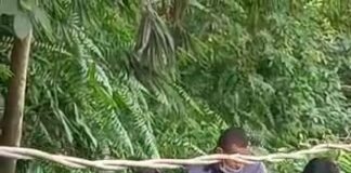 Ingin Mengambil Daun Talas, Warga Batuaji Temukan Mayat di Parit