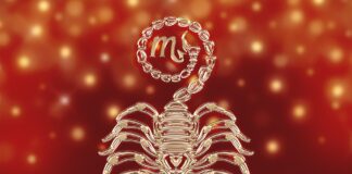 Cara Agar Scorpio Move On Setelah Putus Cinta Scorpio