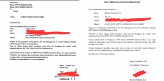 Dua Wakil Ketua DPW NasDem Kepri Mundur! Ada Apa?