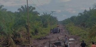 Tanjab Timur Menangis! Warga: Pak Jokowi, Bertahun-tahun Kami Nikmati Jalan Berlumpur Jalan Tanjung Jabung Timur Rusak Parah.