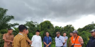 Pemprov Kepri Percantik Pedestarian Jalan Bandara RHF Tanjungpinang dengan Bunga Sakura