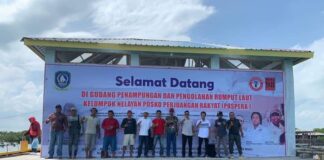 Hazhary Lepas Ekspor Rumput Laut Kelompok Nelayan Pospera Kepri Perdana ke China