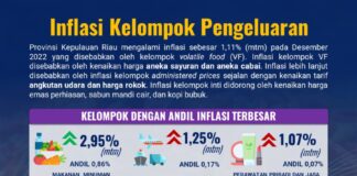 Tarif Angkutan Udara dan Bahan Makanan Dorong Inflasi Kepri Desember 2022