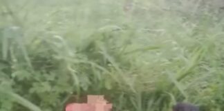 Viral Video Korban Lakalantas Putus Kaki di Jembatan Barelang, Ternyata Bukan di Batam