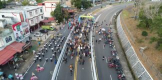 Resmikan Flyover Pertama di Tanjungpinang, Ini Harapan Gubernur Ansar