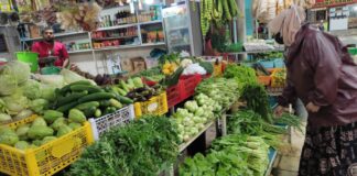 Harga Sayuran Hijau Meroket di Batam, Ini Sebabnya