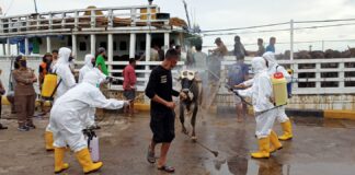 HKTI Ingatkan Warga Batam Waspada Hewan Ternak Terjangkit PMK