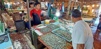 Sidak di 14 Pasar, BPOM Batam Temukan Ikan Asin Diduga Mengandung Formalin