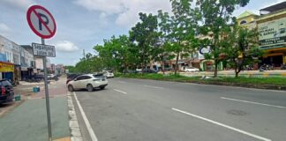 Tertibkan Parkir di Kawasan Greenland, Dishub Ajukan Dua Usulan ke Wali Kota Batam