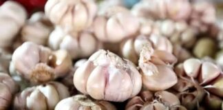 Harga Bawang Putih di Pekanbaru Melonjak, Pemko Minta Distributor Tak Kirim ke Luar Daerah