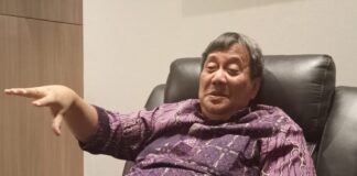 Prof Wihana: Pulau Nipa dan Paradigma Membangun dari Pinggiran