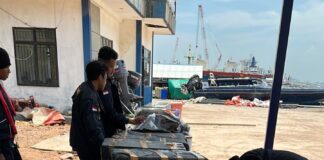 Bea Cukai Batam Gagalkan Penyelundupan 60 Ribu Benih Lobster