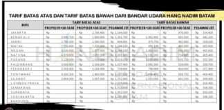 Waspada Calo, Ini Tarif Batas Atas Tiket Pesawat Jelang Mudik Lebaran 2023