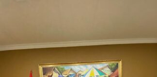 Neko Wesha Pawelloy Resmi Pimpin Perindo Lingga