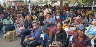 Catat Tanggalnya, PT Pelni Ubah Jadwal Keberangkatan KM Kelud dan Doloronda