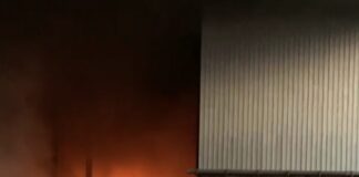 Ini Kata Polisi Terkait Kebakaran di Plaza Botania