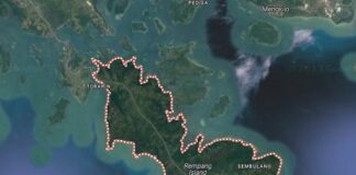 Bayang-Bayang KWTE di Investasi Jumbo Rempang Rempang