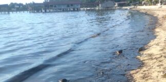 KKP Selidiki Dugaan Pencemaran Limbah Minyak Hitam di Pantai Batam