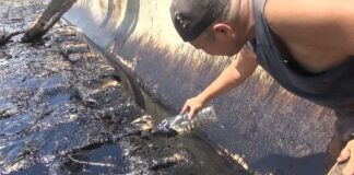 Pencemaran Limbah Hitam di Kampung Melayu Batam Dianggap Tidak Wajar