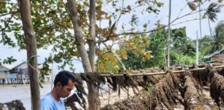 Mimpi Buruk Ribuan Warga Galang Itu Dinamakan Penggusuran