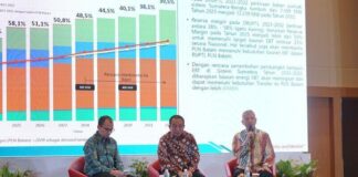 PLN Batam Tingkatkan Kelistrikan dengan Pengembangan PLTS dan EBT plts dan ebt pln batam