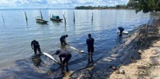 Polda Kepri Selidiki Tumpahan Minyak di Perairan Batam tumpahan minyak di batam