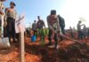 Program Penghijauan, Polda Kepri Tanam Ratusan Pohon polda kepri tanam pohon
