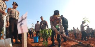 Program Penghijauan, Polda Kepri Tanam Ratusan Pohon polda kepri tanam pohon
