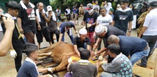 Masjid Jami An-Nikmah Seipanas Kampung Melayu Sembelih Kurban 9 Sapi dan 26 Kambing