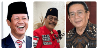 Mantan Gubernur, Wakil Gubernur, Wali Kota dan Bupati di Kepri Ramai-ramai Maju Caleg DPR RI