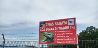 Viral Penampakan Buaya, BP Batam Imbau Warga Tak Beraktivitas di Area Dam Duriangkang