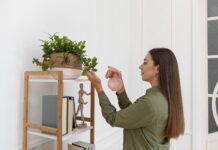 3 Zodiak yang Hobinya Dekorasi Rumah, Ada Kamu? hobi dekorasi rumah