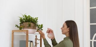 3 Zodiak yang Hobinya Dekorasi Rumah, Ada Kamu? hobi dekorasi rumah