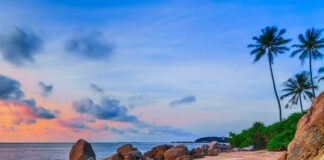 Desa Pengudang Bintan Potensial Dikembangkan Jadi Wisata Halal