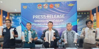 Ratusan Ribu Benih Lobster Senilai Rp 19 M Gagal Diselundupkan dari Batam