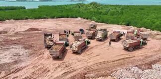 Aktivitas Perusahaan yang Rusak Mangrove di Sagulung Disegel KLHK