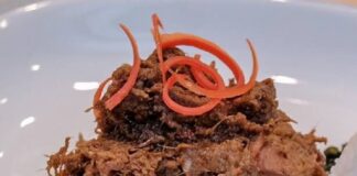 Rendang, Kuliner Indonesia yang Lezat Serta Mendunia rendang kuliner indonesia
