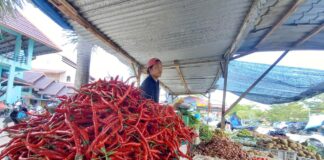 Harga Cabai Merah dan Rawit di Karimun Merangkak Naik