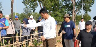 Wujudkan Batam Baru yang Hijau dan Lestari, BP Batam Tanam 1.800 Pohon Jati Emas