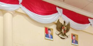 Buka Pelatihan Psychological First Aid, Ini Pesan Kadis DP3AP2KB Natuna