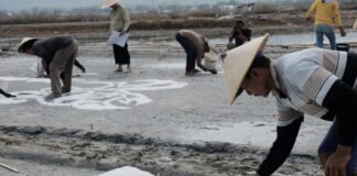 Kolaborasi Seni, Petani Garam Dasun dan Perupa Rembang Gelar Lukisan Garam Terbesar di Dunia