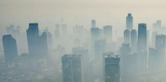 Menguatkan Pertahanan Tubuh Melawan Polusi Udara: 7 Jenis Makanan yang Efektif
