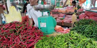 Harga Cabai Rawit di Karimun Makin ‘Pedas’, Tembus Rp 80 Ribu