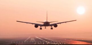 Pesawat Kargo Terpaksa Kembali Mendarat setelah Kuda Muatannya Mengamuk