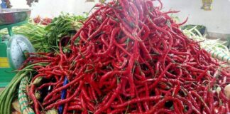 Faktor Cuaca Sebabkan Harga Cabai dan Bawang di Natuna Naik harga cabai di natuna
