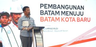 Rudi Optimistis Pertumbuhan Ekonomi Batam 2024 Capai 7,5 Persen