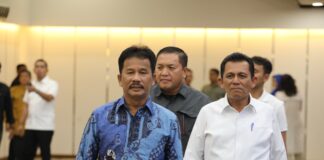 Ansar Dukung Upaya BP Batam Selesaikan Pengembangan Kawasan Rempang