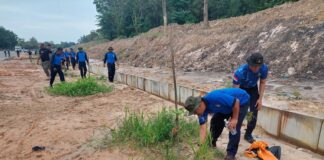 Dukung Penghijauan, Ditpam BP Batam Pupuk Pohon Jati Emas