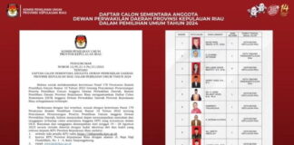 Update Perolehan Suara Sementara DPD R1 2024 Dapil Kepri: Dharma Setiawan Memimpin