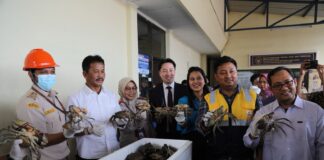 Kepala BP Batam Lepas Ekspor Perdana Kepiting Bakau ke China
